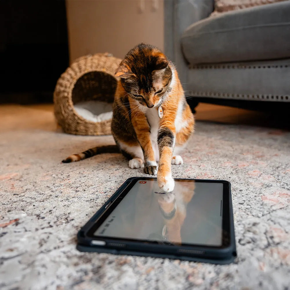 Imagen del producto 9