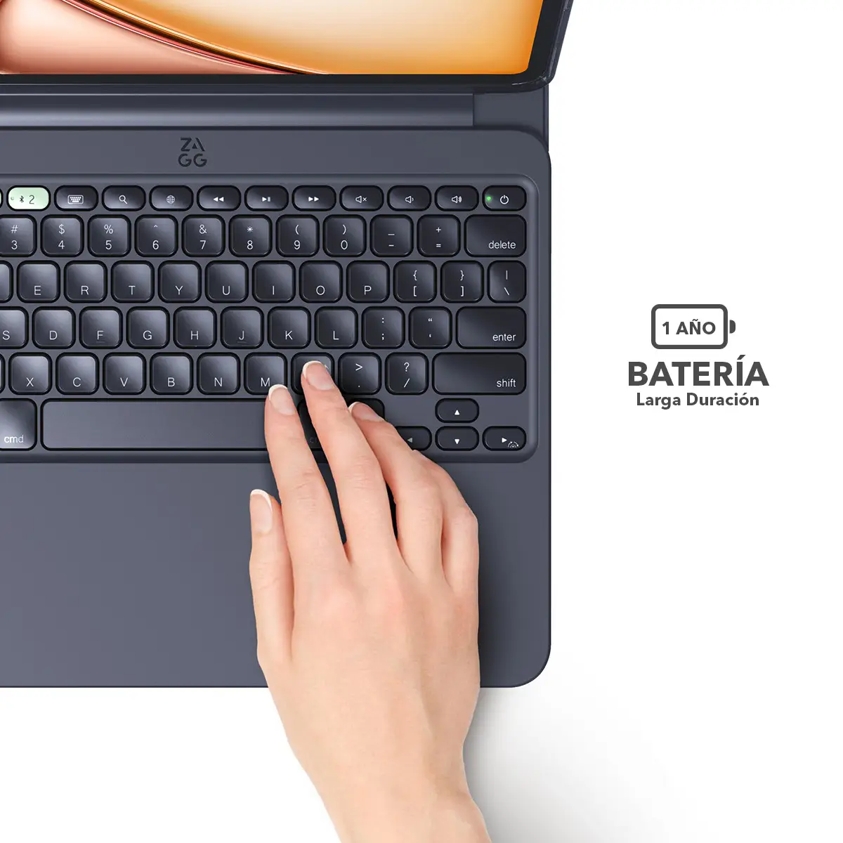 Imagen del producto 31